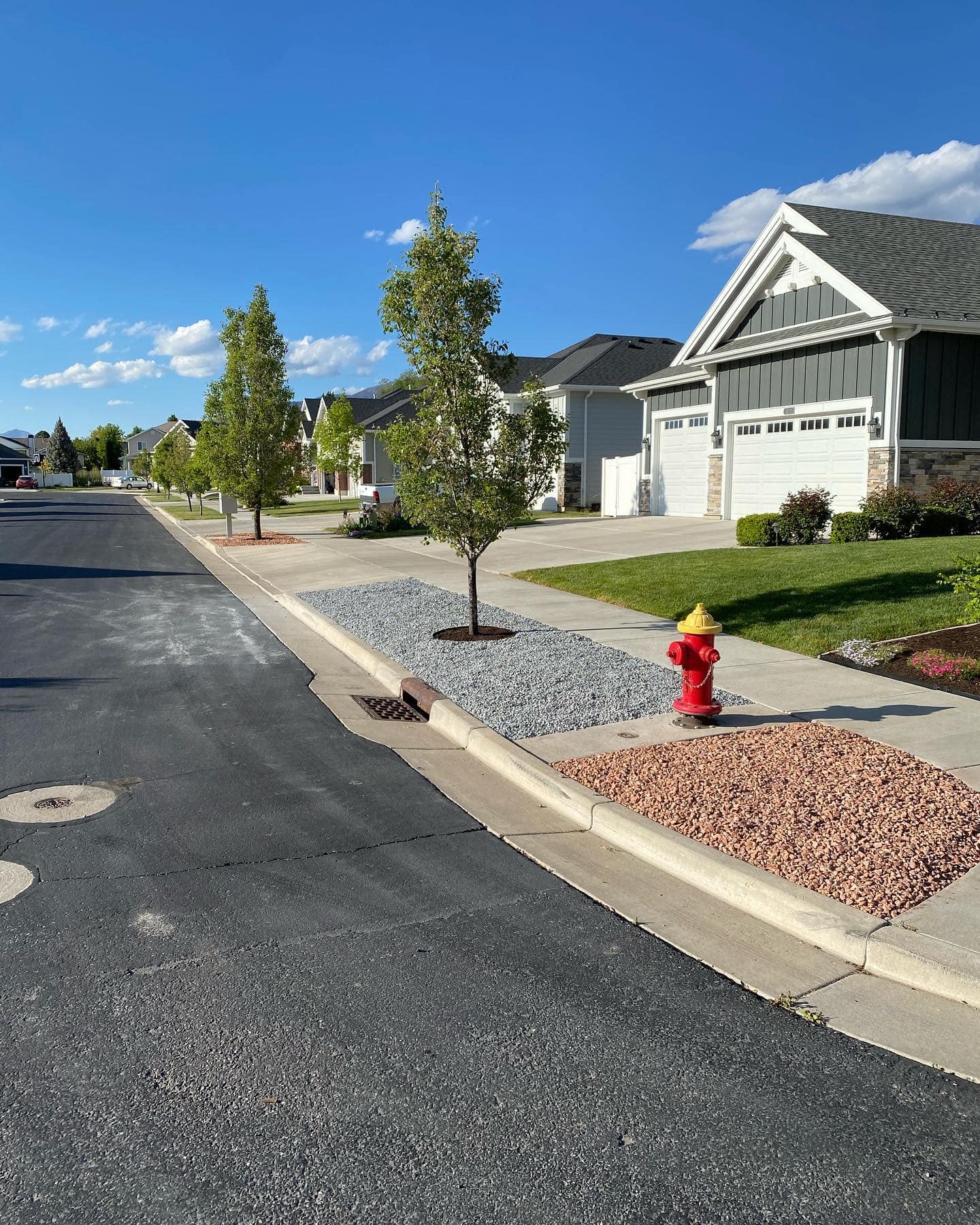 Ginger Bee Farms landscaping project